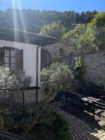 Hotel Mangalemi - Image 27