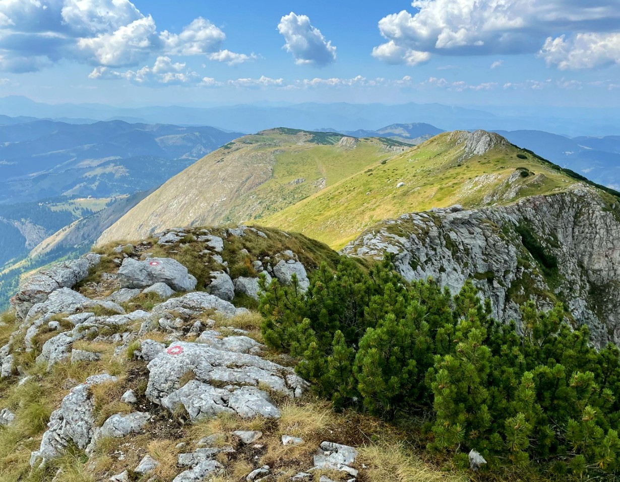 Prishtina Panorama