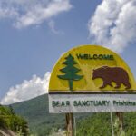 Bear Sanctuary Prishtina Day Tour – 1 Day