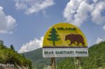 Bear Sanctuary Prishtina Day Tour – 1 Day